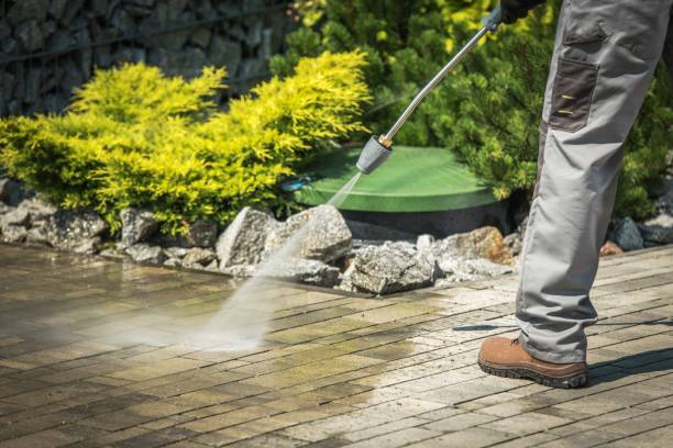 Best Window and Screen Pressure Cleaning in Gorman, TX