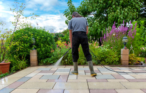 Best Driveway Cleaning and Restoration in Gorman, TX